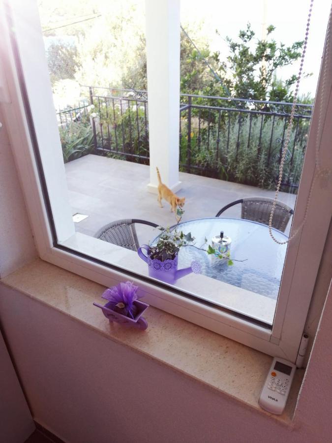 Apartmani Skalinada Marina Extérieur photo